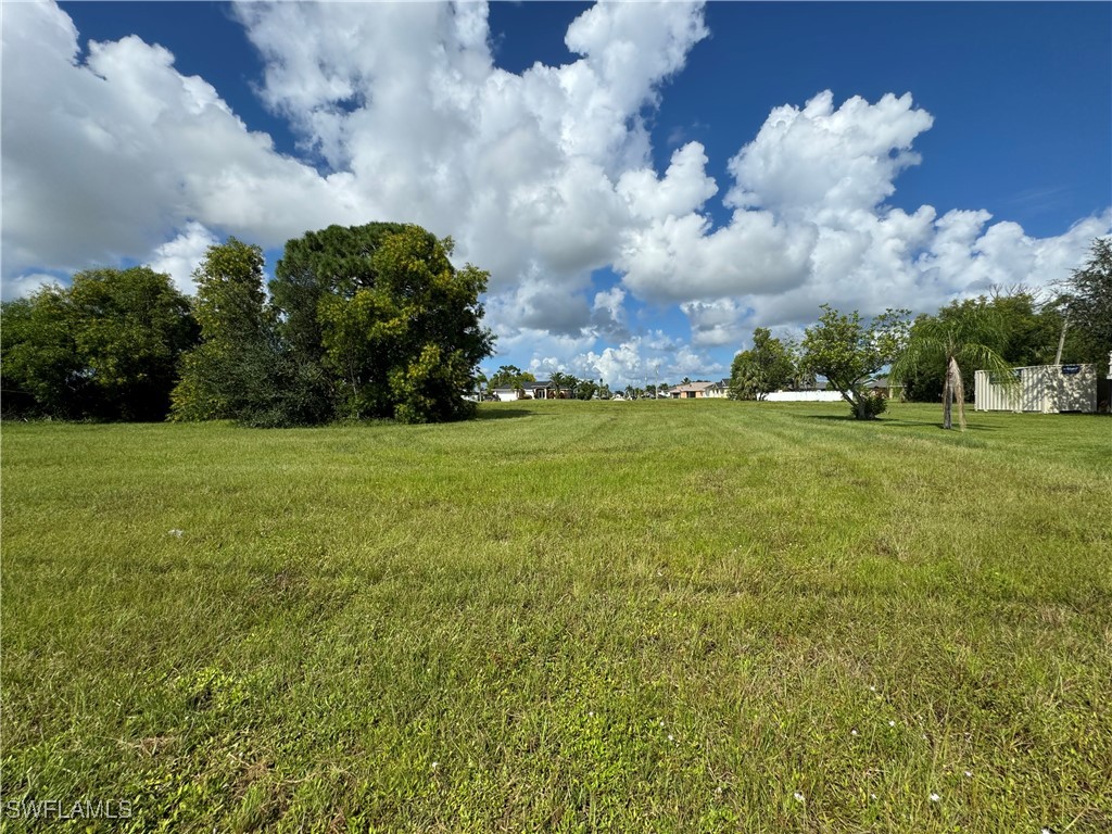 a view of a big yard with plants and large trees