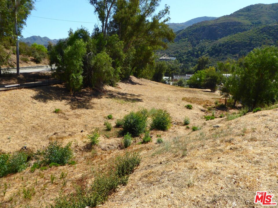 a view of a yard with trees