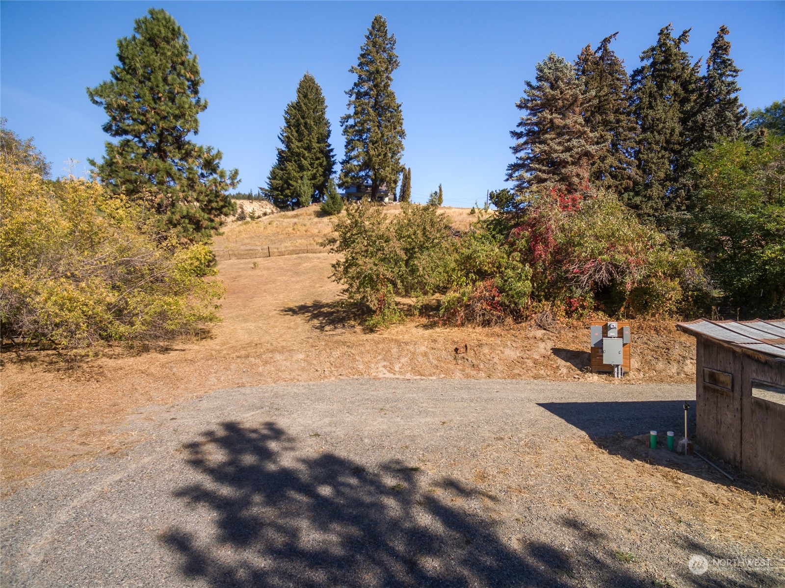 a view of dirt yard with a tree