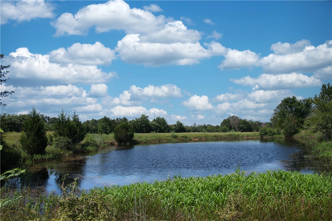 a view of a lake