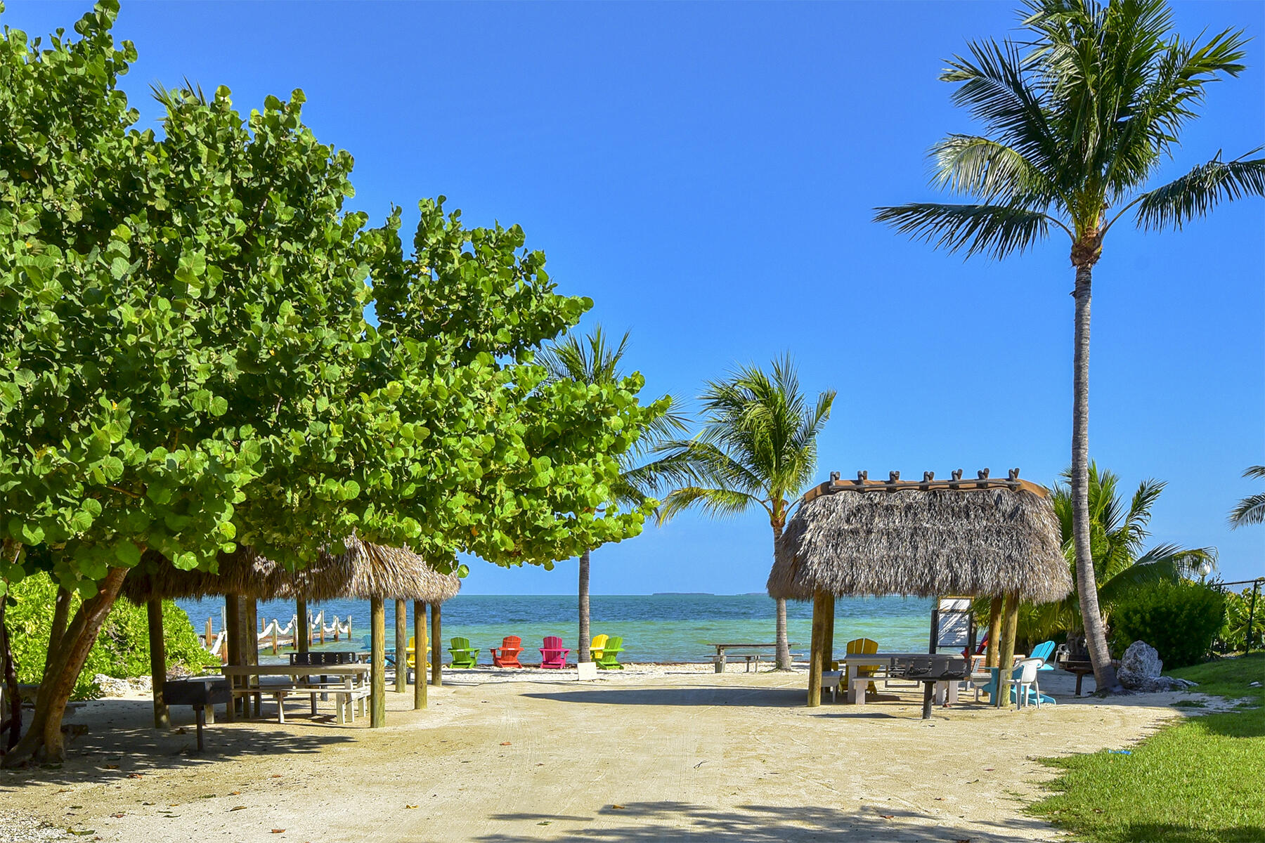 a street view with palm trees