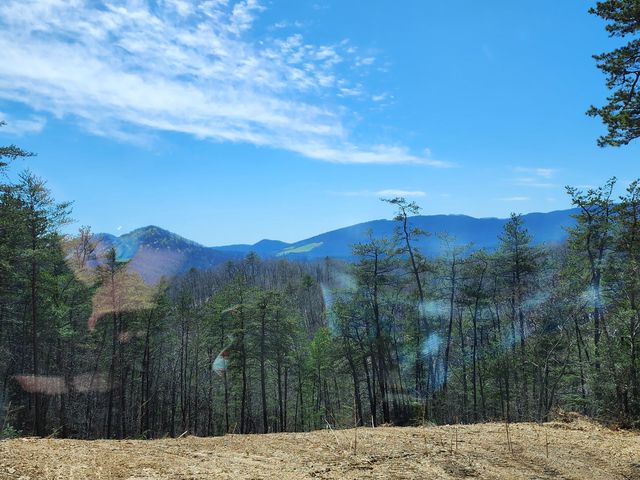 $89,900 | Lot 8 Reese Mountain Road