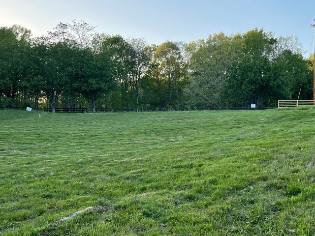 a view of a grassy field with trees