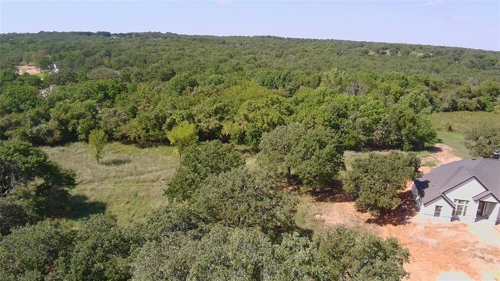 a view of a forest with a yard