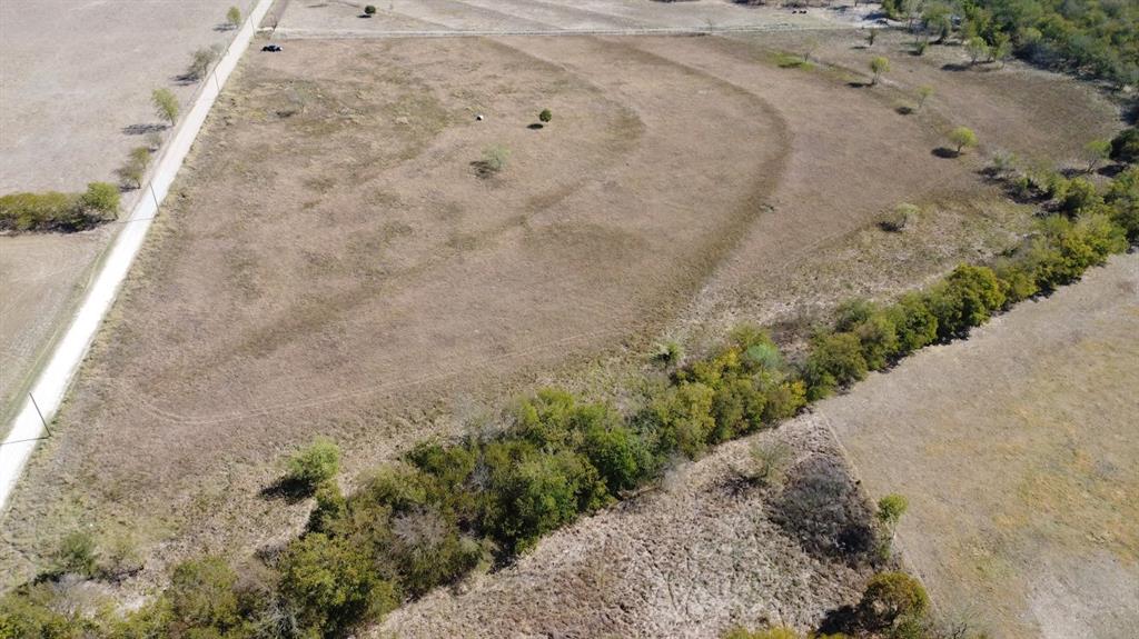 a view of a dry yard with trees