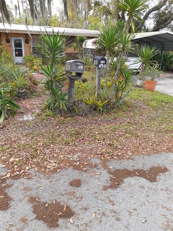 a view of a yard with plants and a large tree