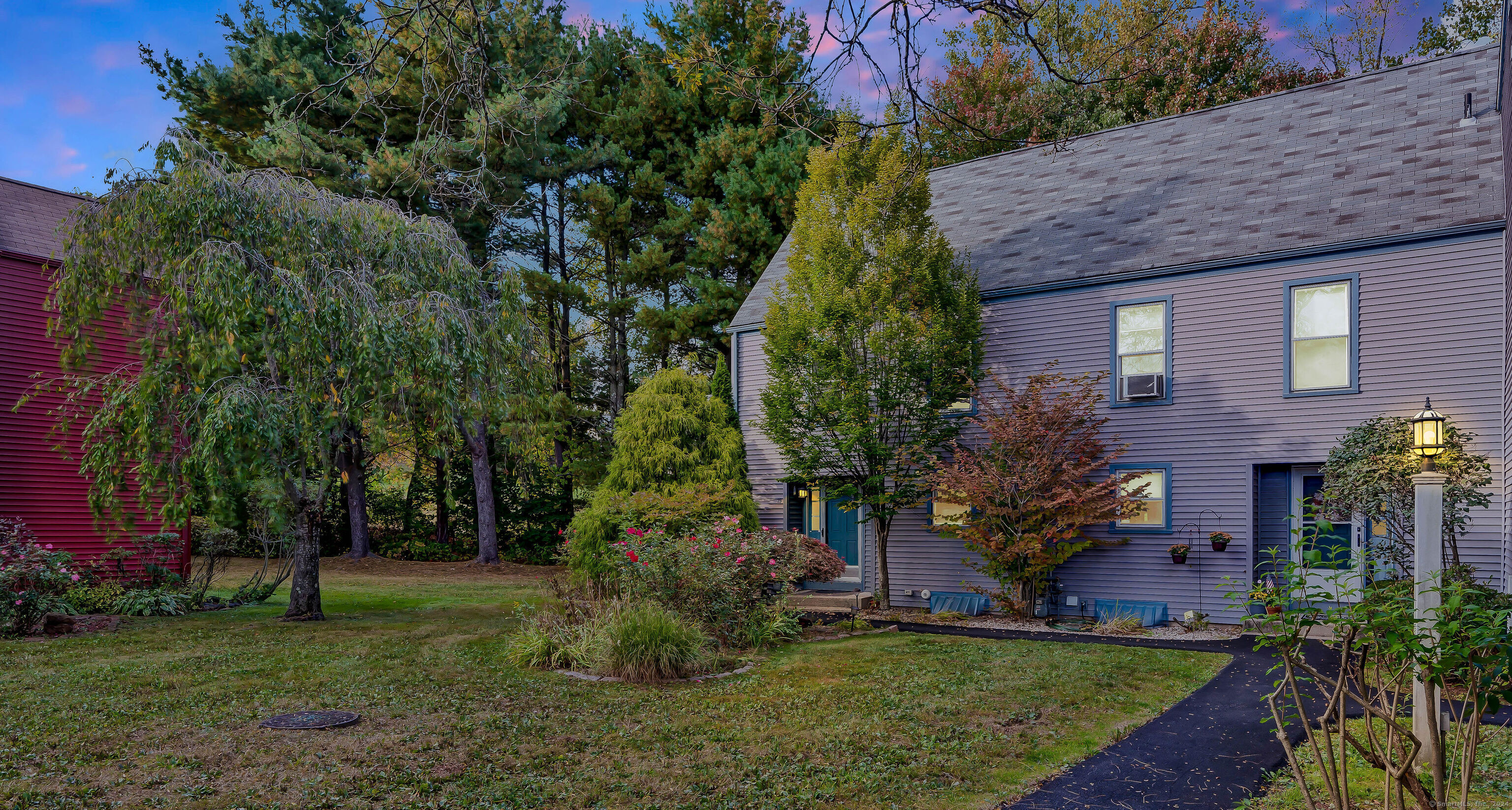 a view of a backyard with plants and large trees