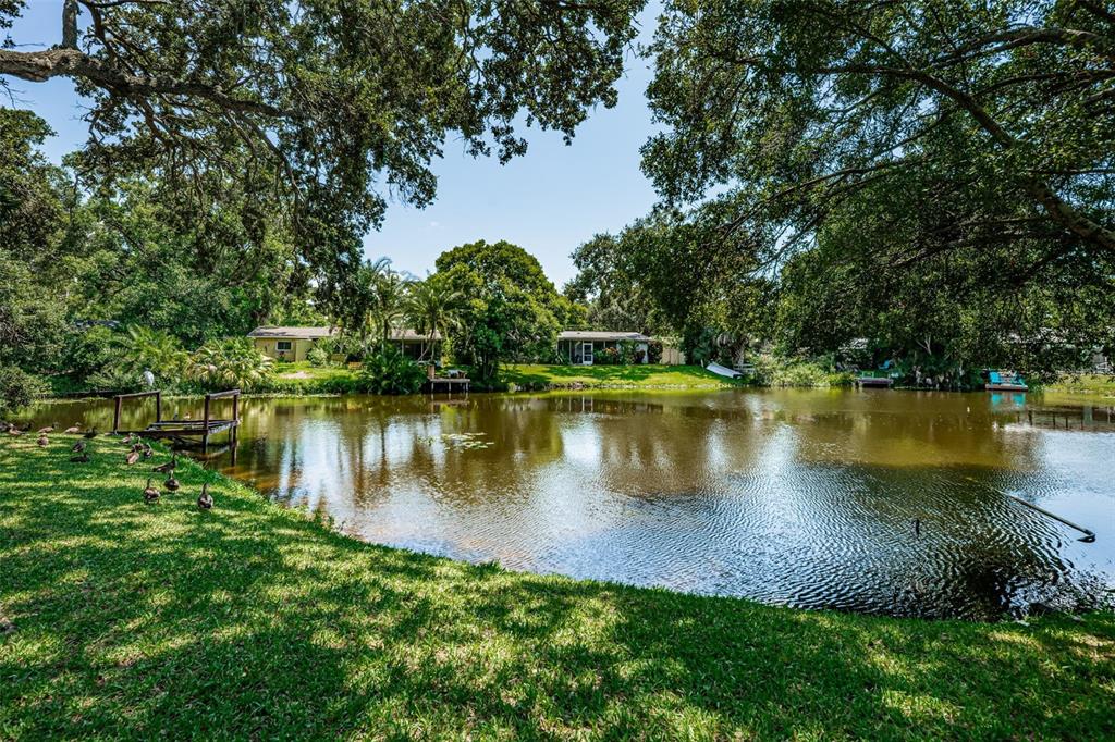 a view of a lake in between two large trees