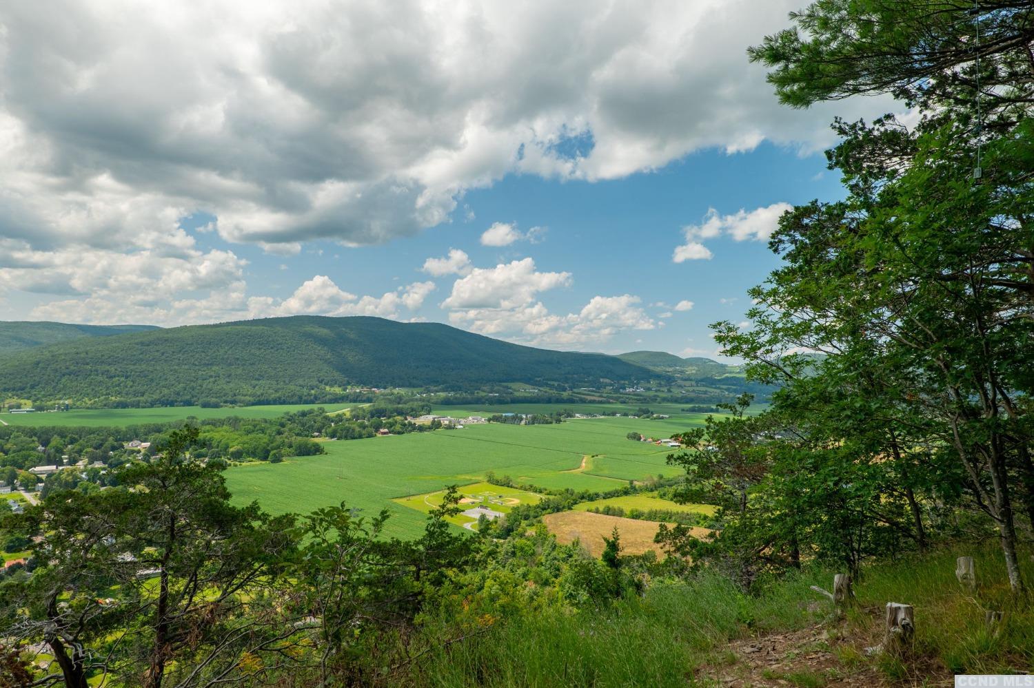 a view of a green field with lots of bushes