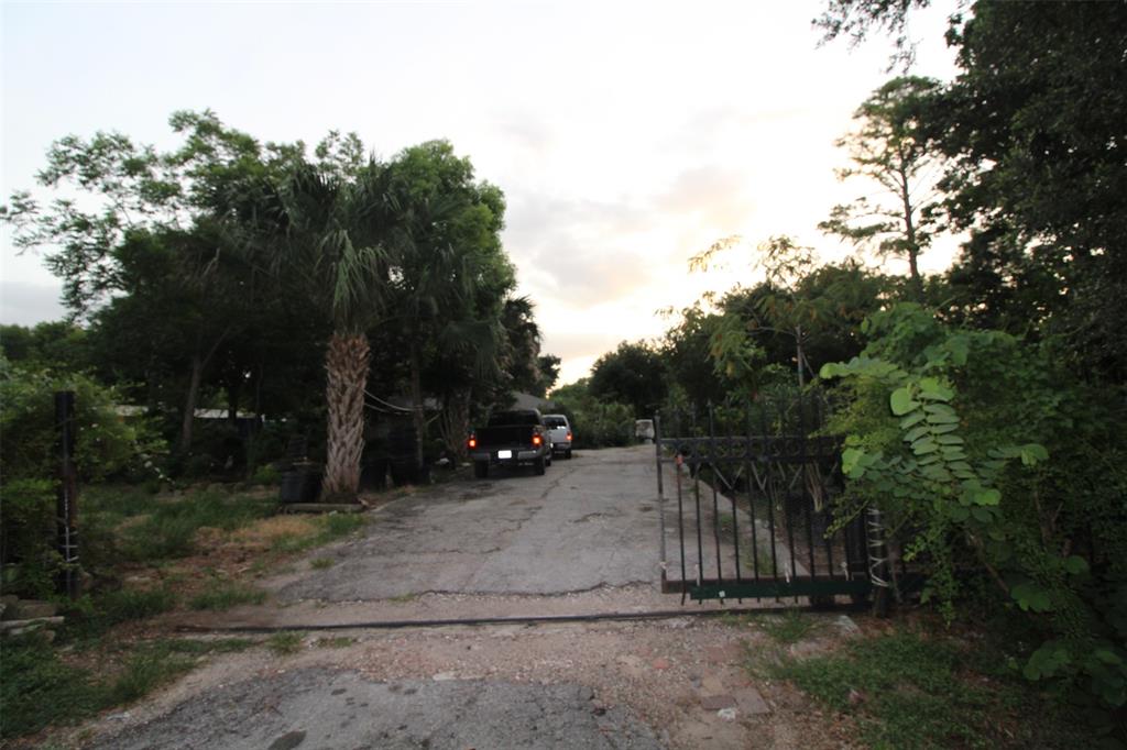 a view of street and trees