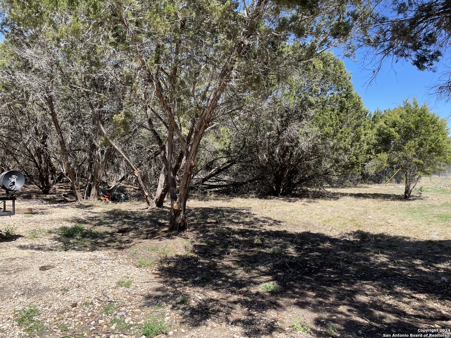 a view of ocean view with trees