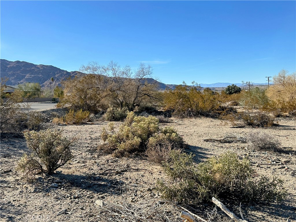 a view of a dry yard with mountains in the background