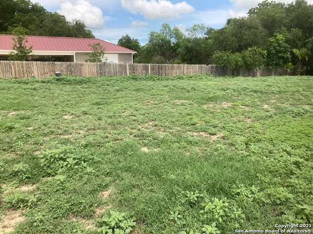 a view of a yard in front of a house