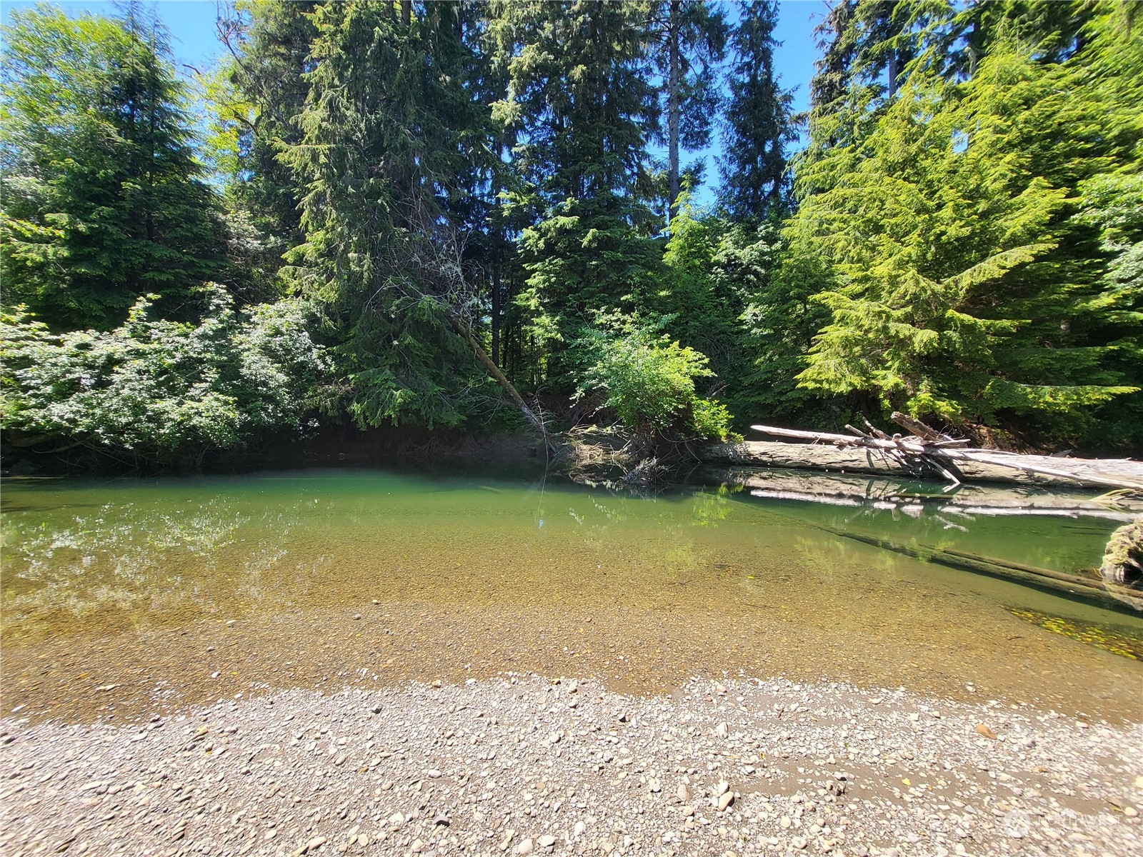 a view of a swimming pool with a yard