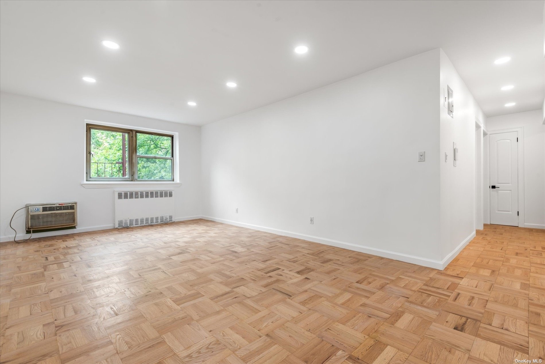 a view of a big room with windows and closet