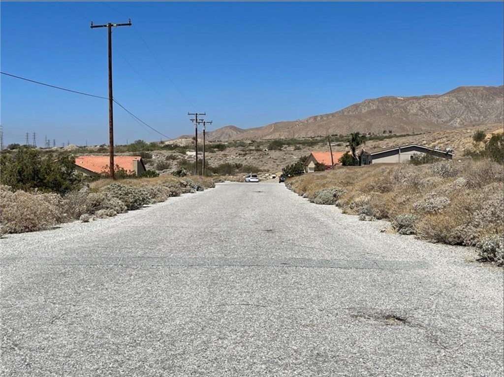 a view of a dry yard with a tree