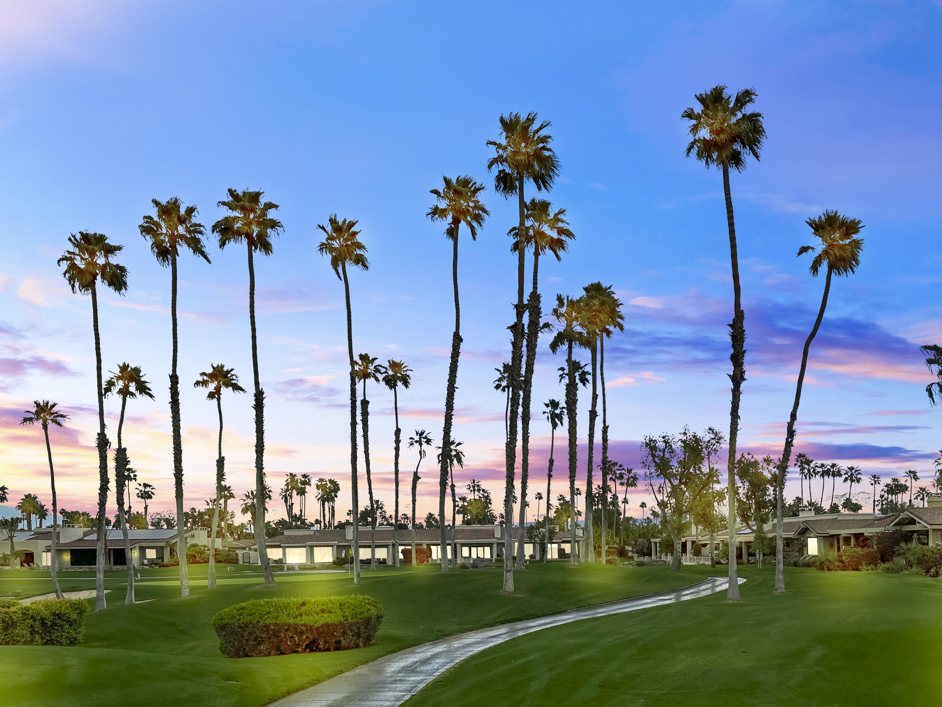 a view of a city with palm trees