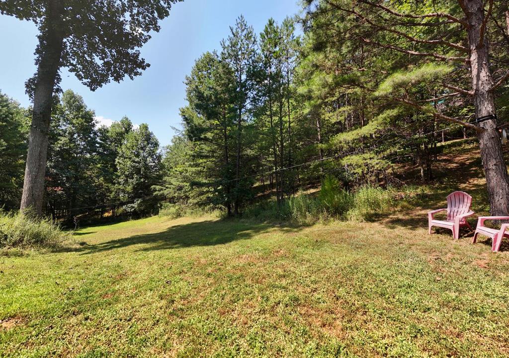 a view of backyard with tree