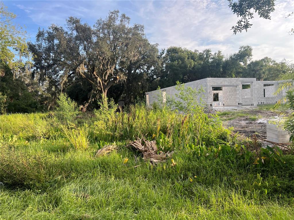 a backyard of a house with lots of green space and mountain view in back