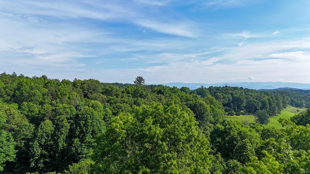 a view of a bunch of trees in a field