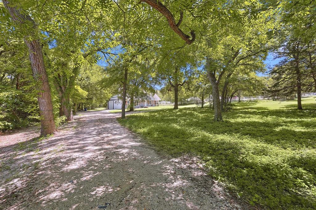 a view of a trees with a backyard