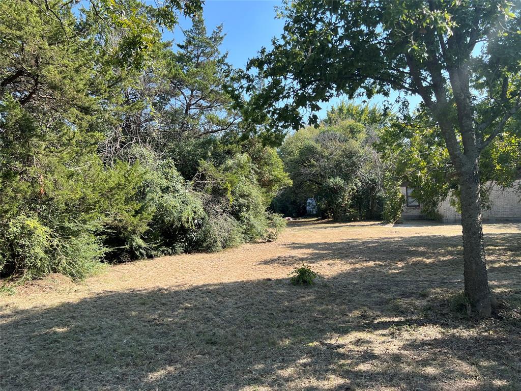 a view of a yard with a tree