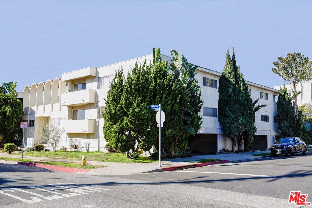 a palm tree sitting in front of a building