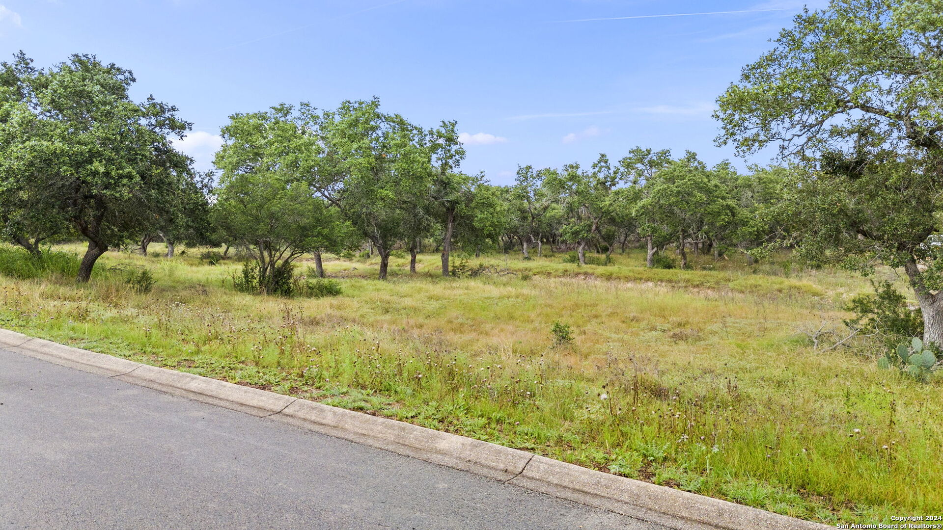 a view of a yard with an trees