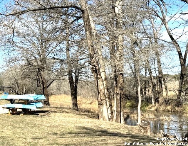 a view of a yard with some trees