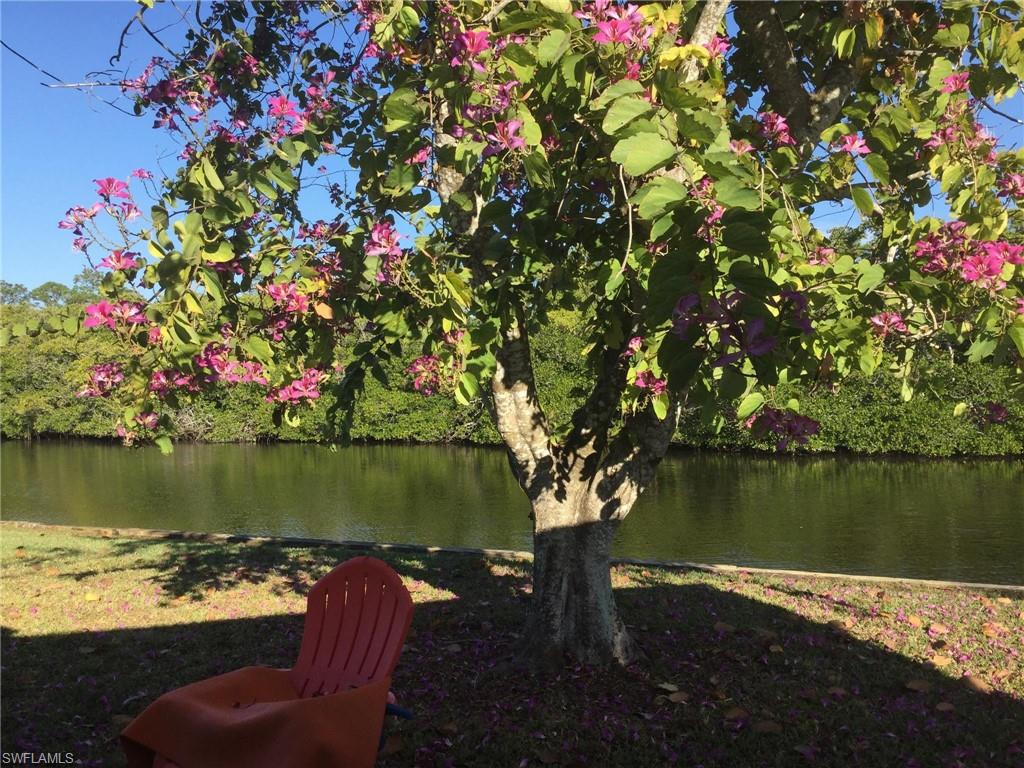 a view of a lake with a lake view