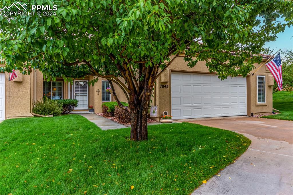 a tree in front of a house next to a yard