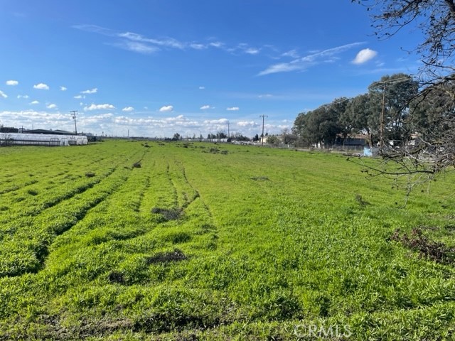 a large green field with lots of green space