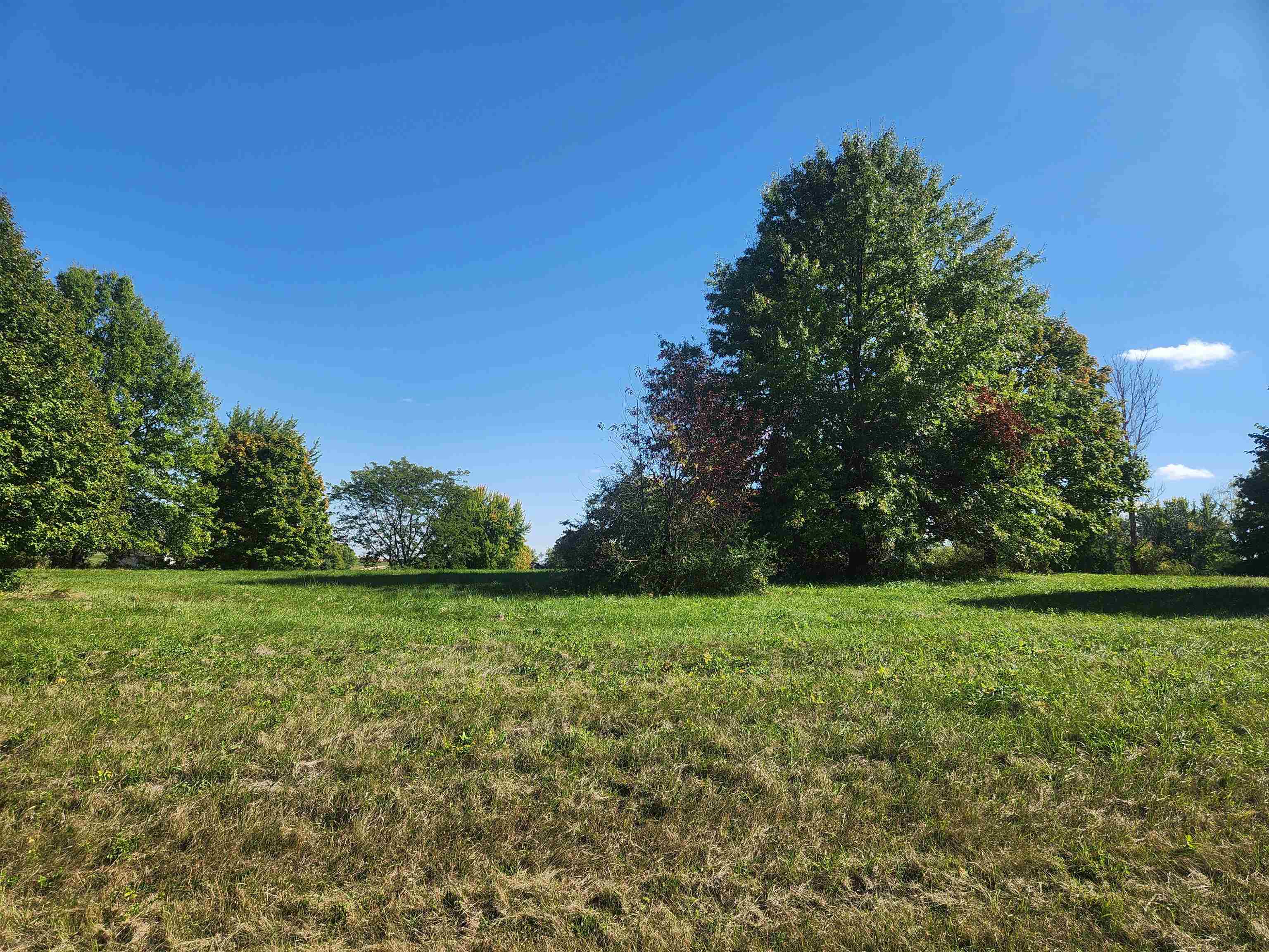 a view of a grassy field with trees in the background