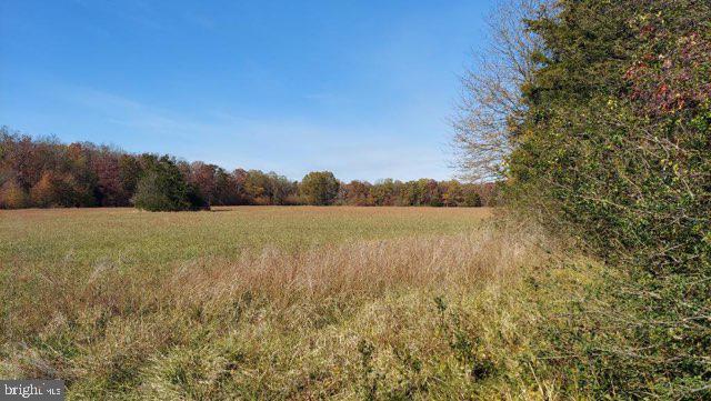 10.46 Acres Zoned Agriculture