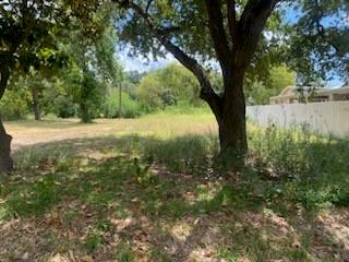 a view of a yard with a tree