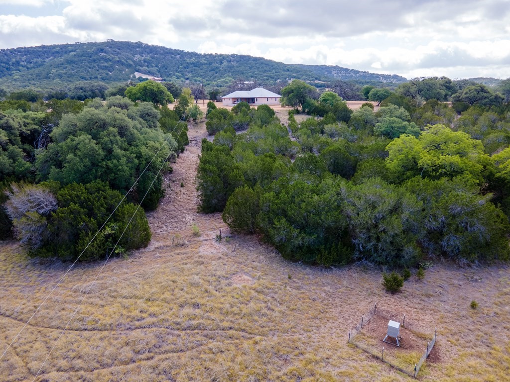 a view of a back yard