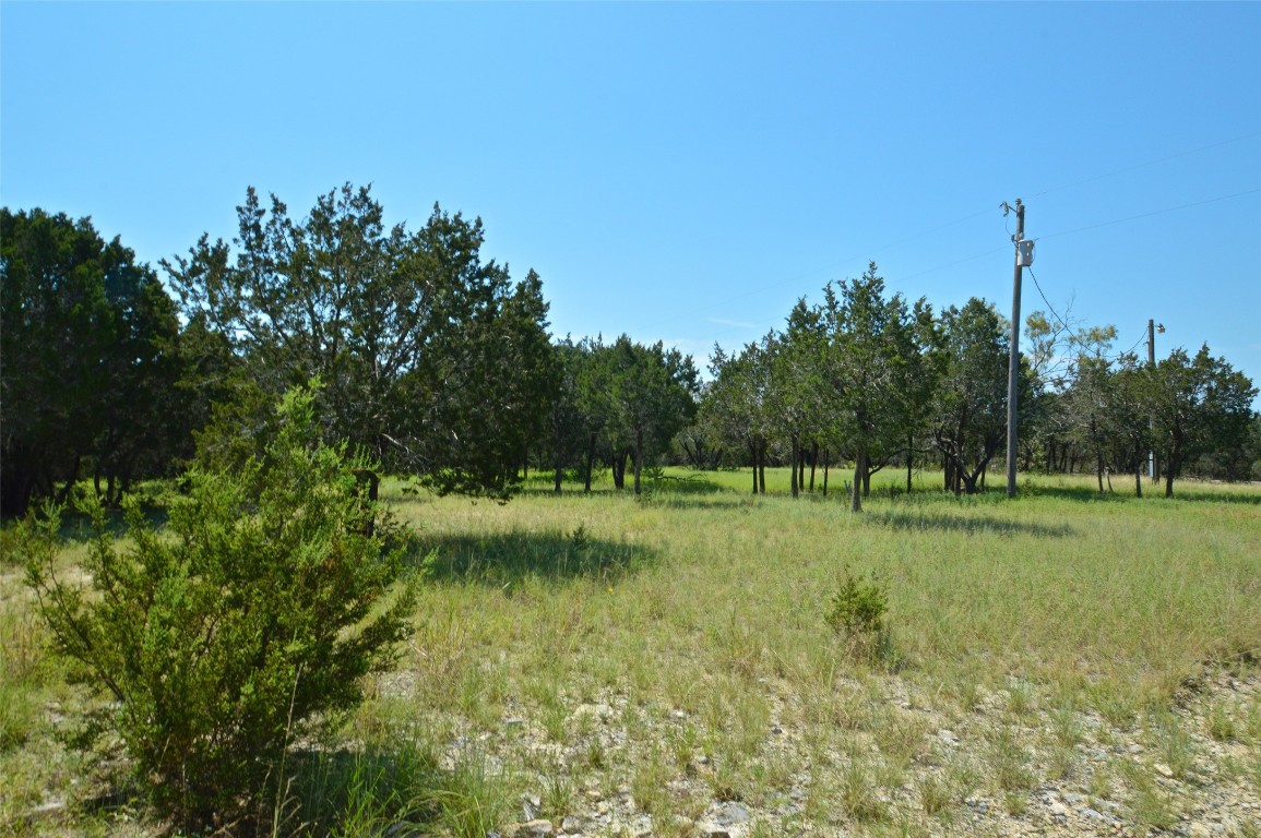 a view of a golf course with a lake