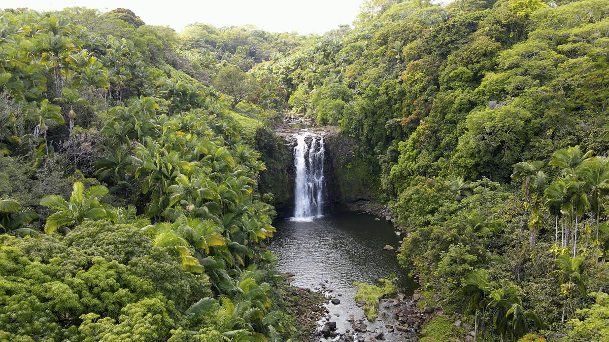 HIDDEN HAWAII BIG ISLAND AT IT'S MOST STUNNING POSSIBLE AND IMAGINABLE! THE PROPERTY BOUNDARIES REACH TO THE MIDDLE OF THIS KAPUE STREAM! THIS WATERFALL IS ONE OF MANY ON THE "KAPUE STREAM ESTATE".