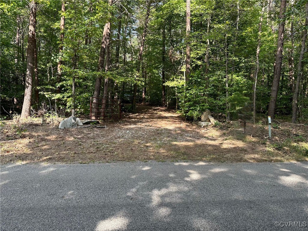 a view of a forest with trees