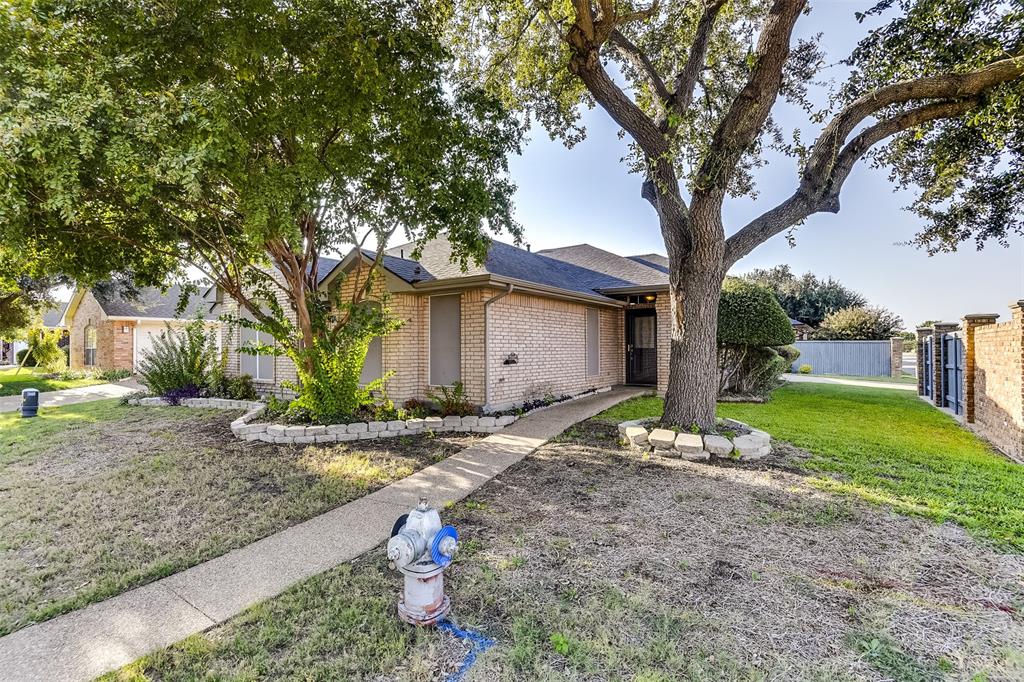 a backyard of a house with plants and large tree