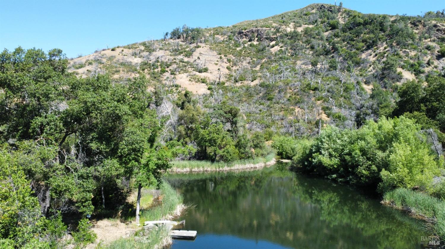 a view of a forest with a lake