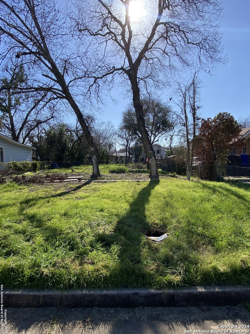 a view of yard with green space