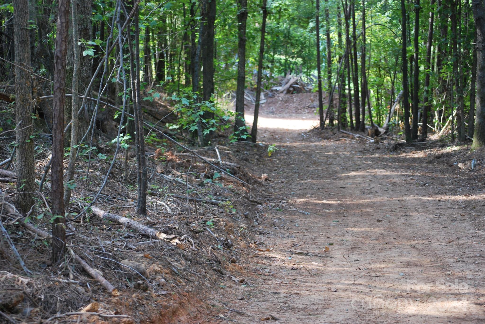 a view of outdoor space and trees