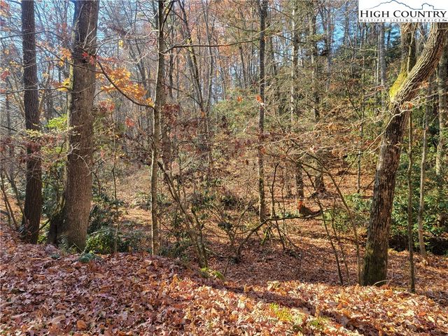 $20,000 | 43-44 Lake Front Drive | Pine Swamp Township - Ashe County