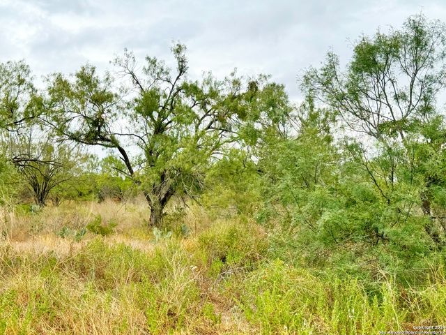 $60,000 | 106 Cr 2638 | Devine