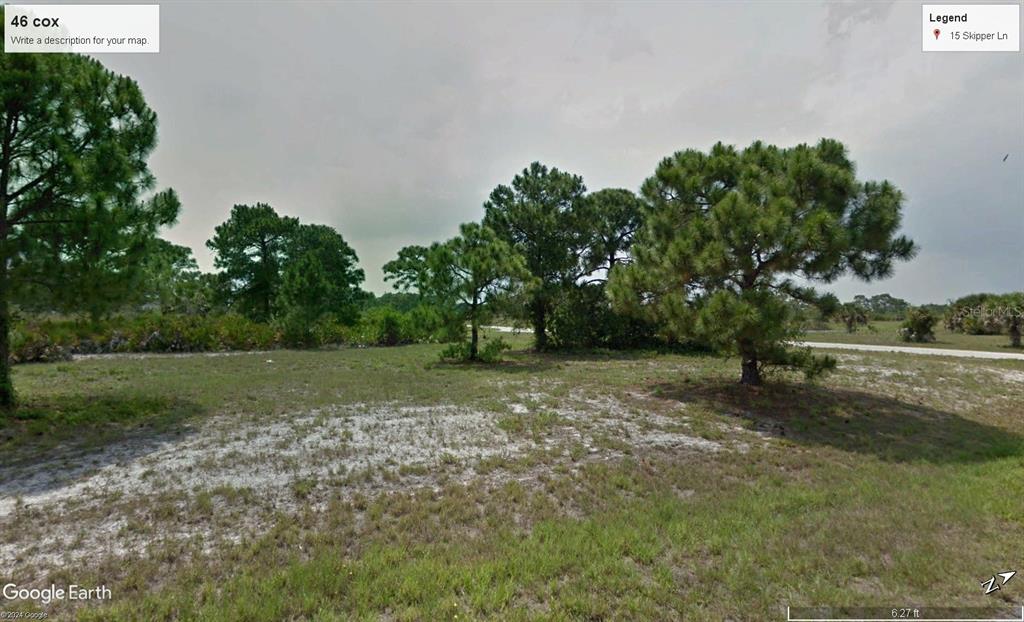 a view of a field with trees