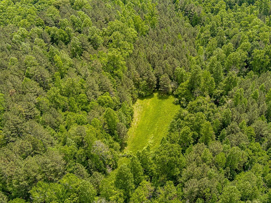 a view of a yard