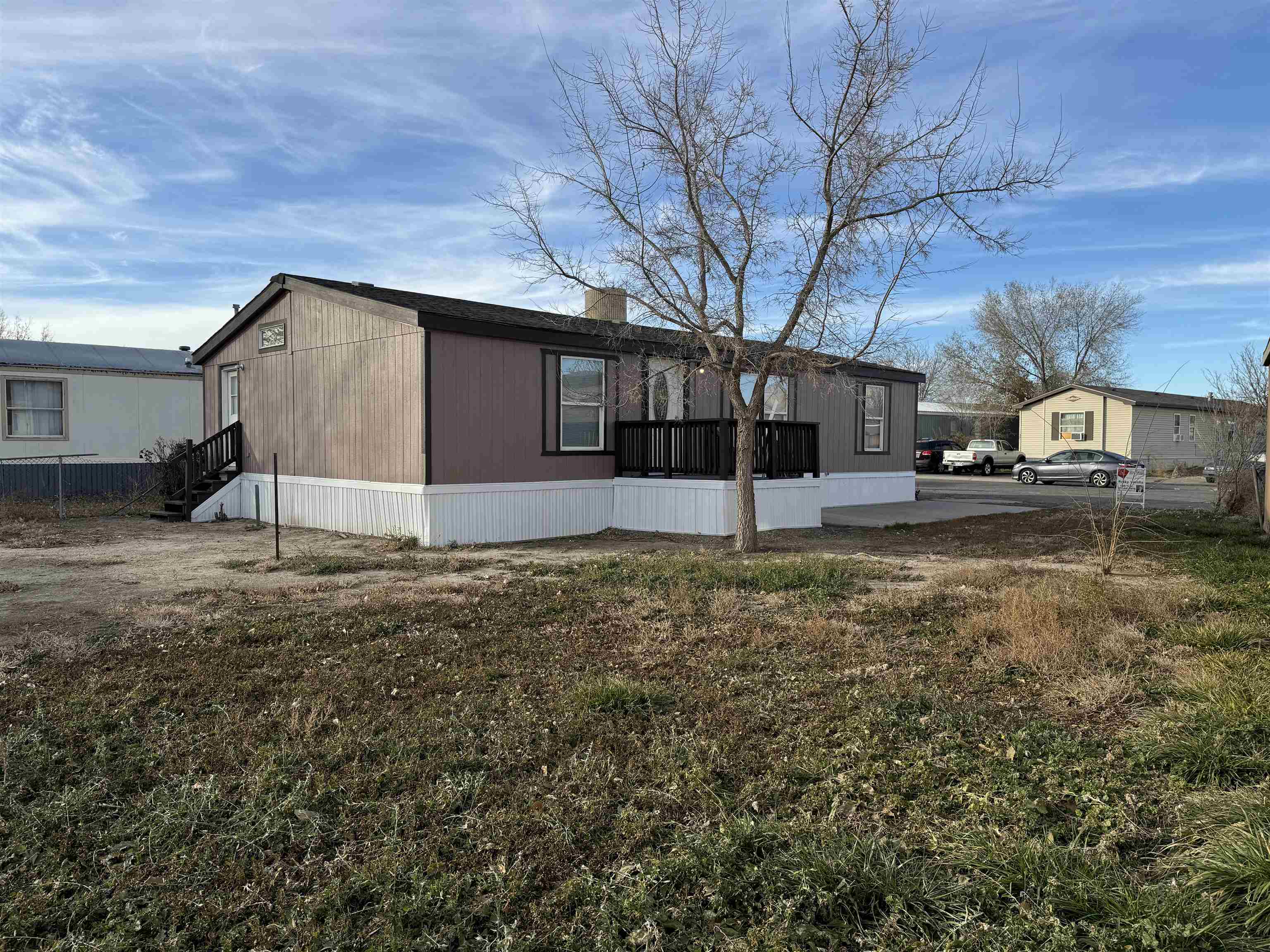 a house that has tree in front of it