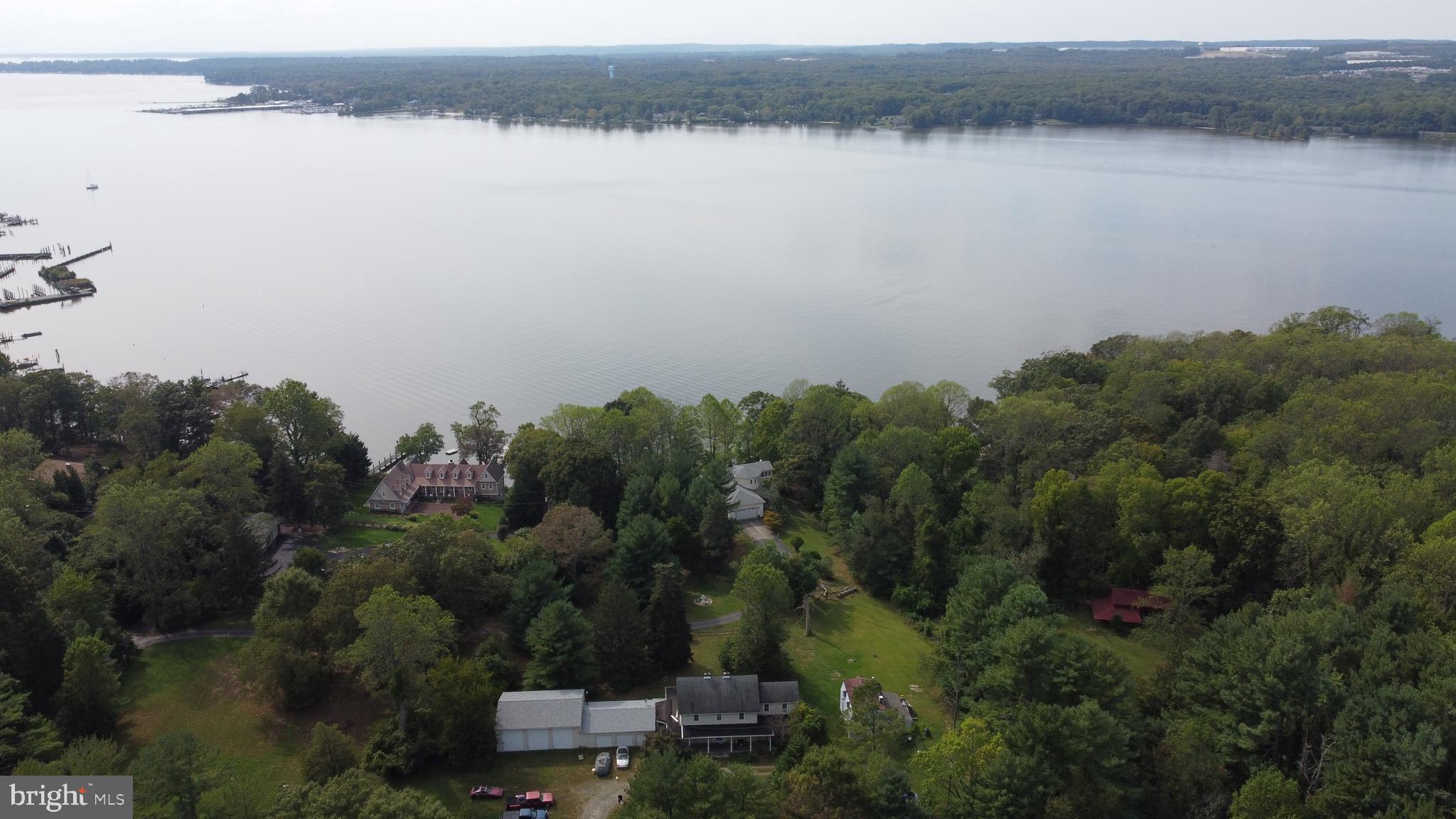 a view of lake and trees