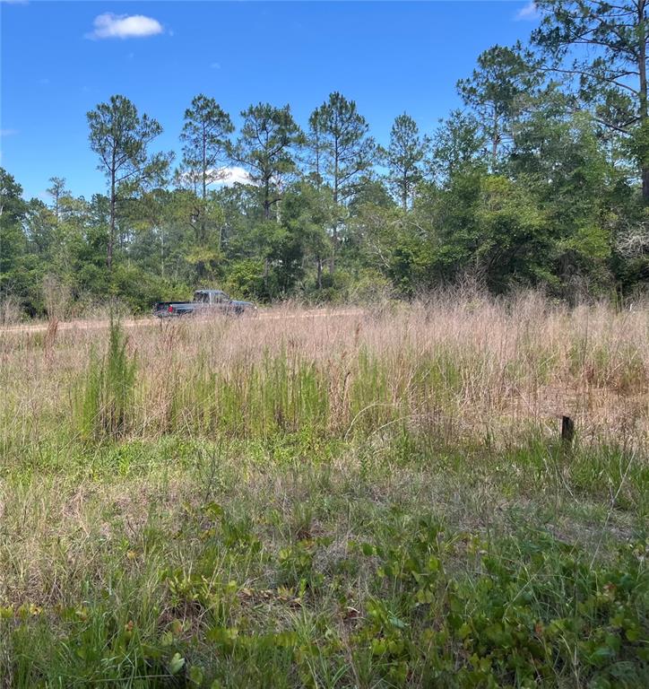 a view of a lake from a yard